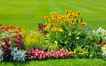 Comment faire un massif de fleurs à Montech?