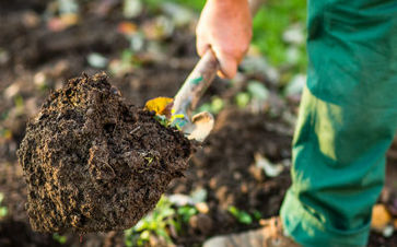 Un paysagiste pour l’entretien des parcs et jardins à Montech 